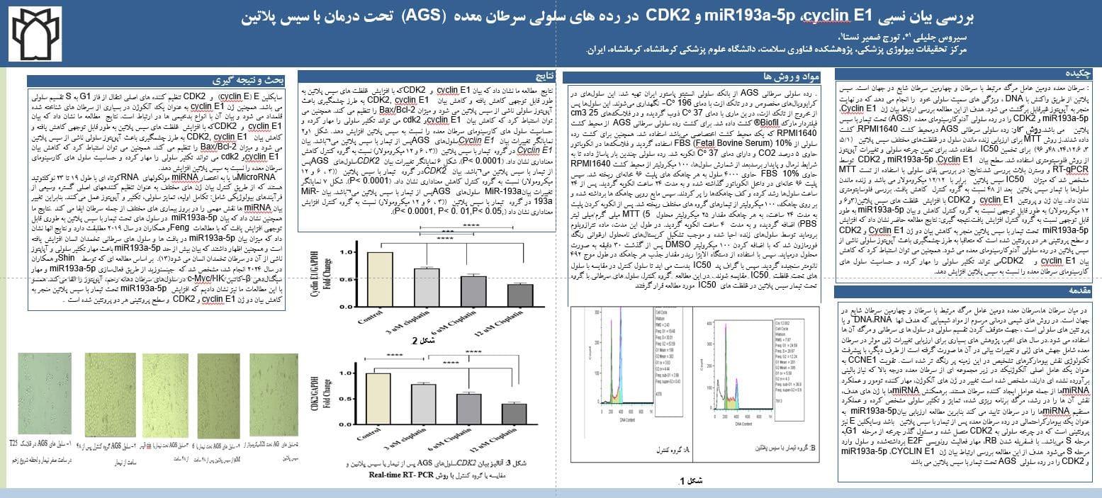 پوستر فارسی 4020067