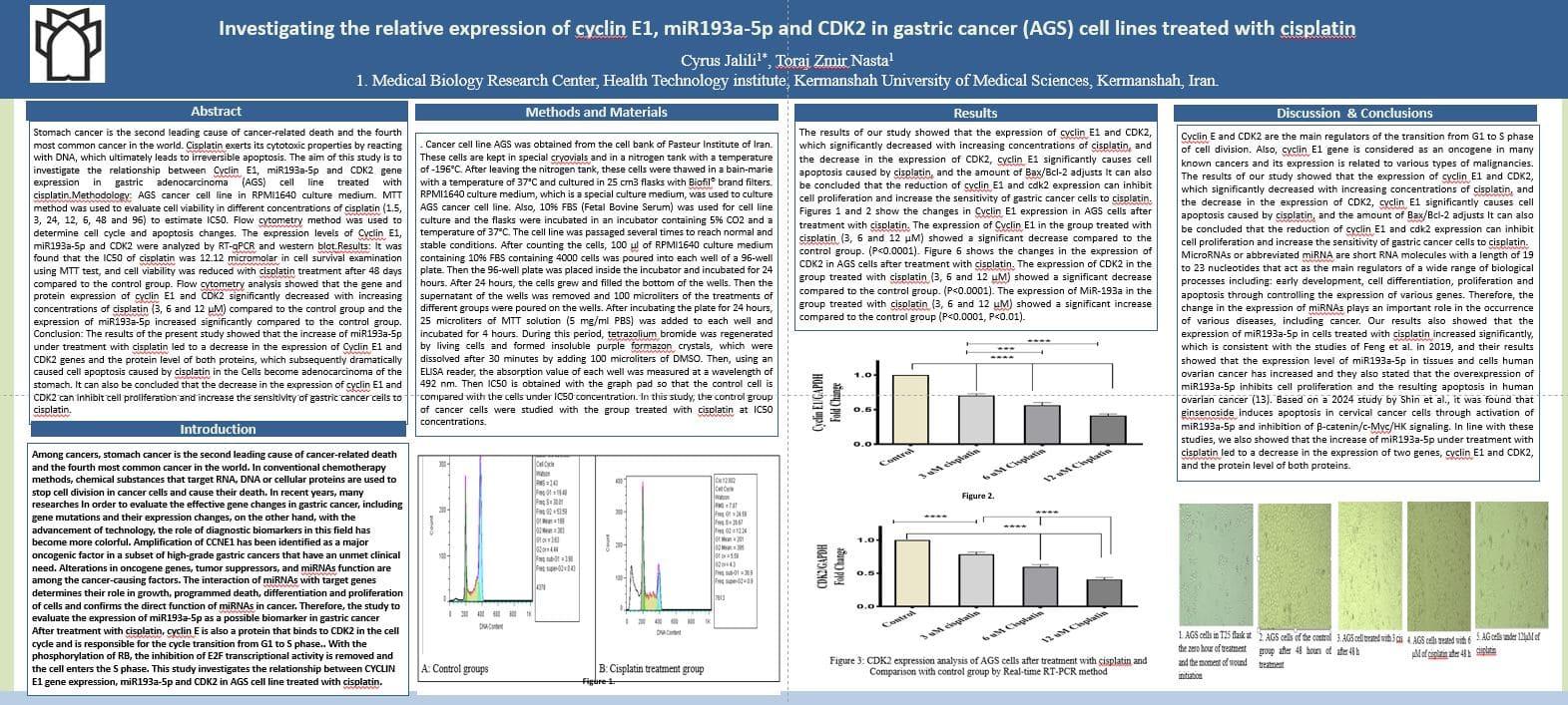 پوستر انگلیسی 4020067