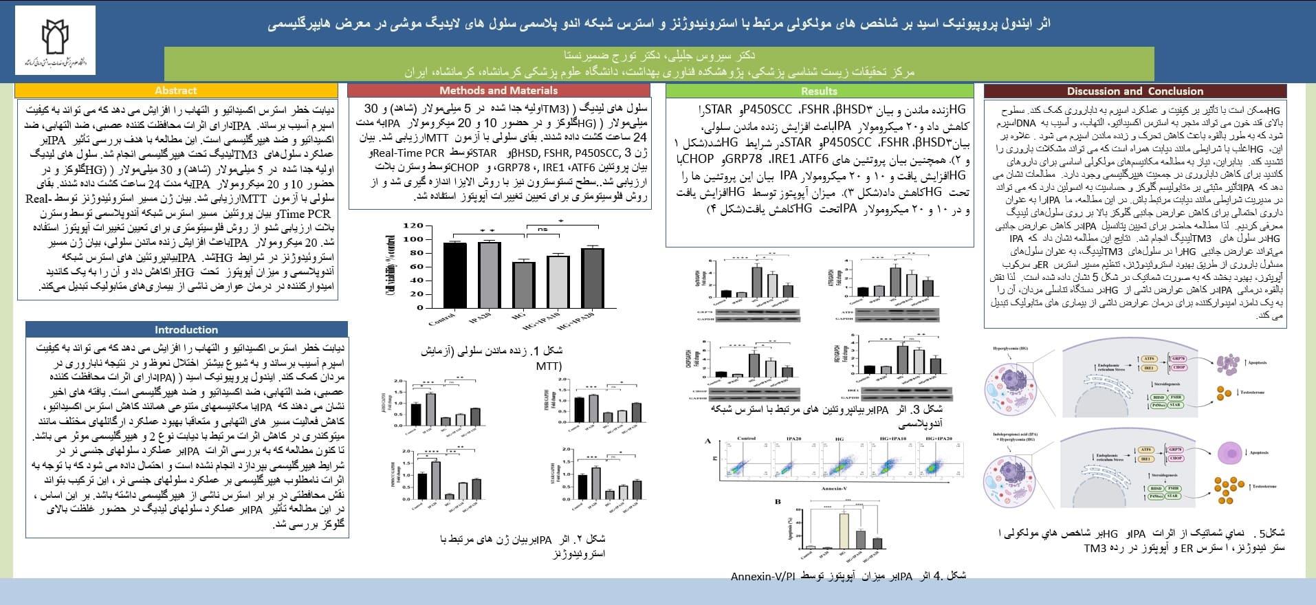 پوستر فارسی 4020715