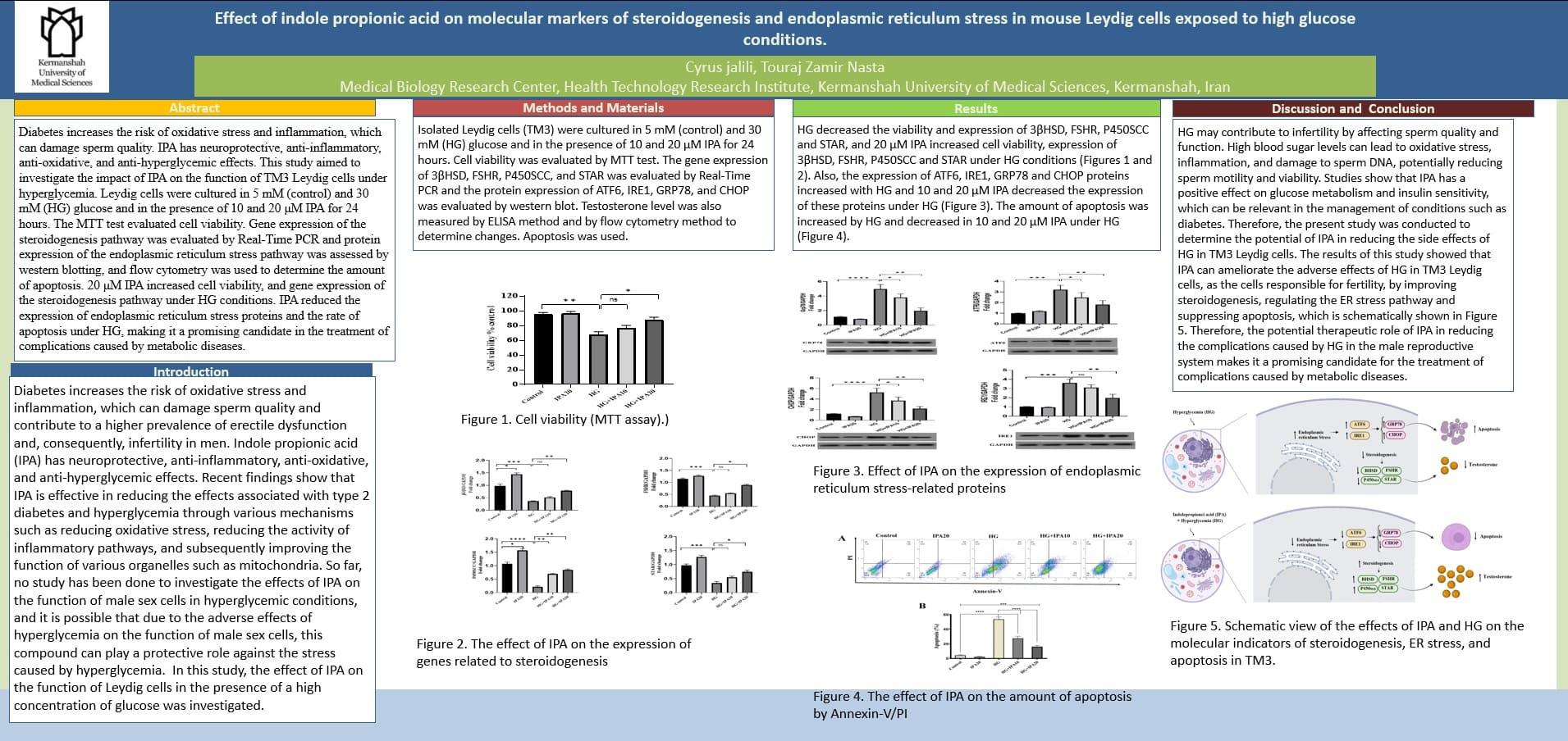 پوستر انگلیسی 4020715