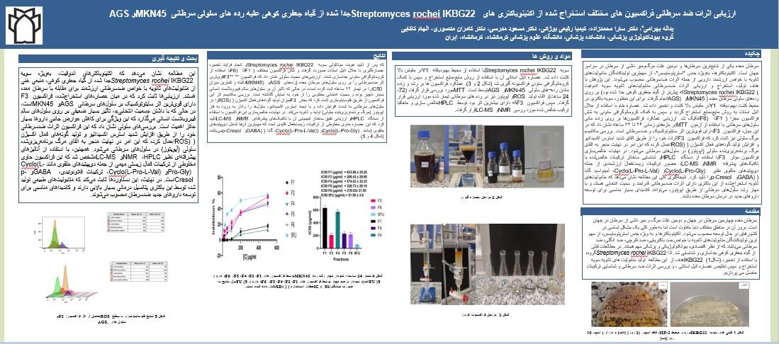 پوستر 4010632