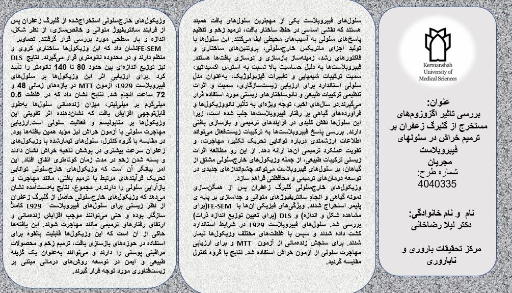 پمفلت 4040335